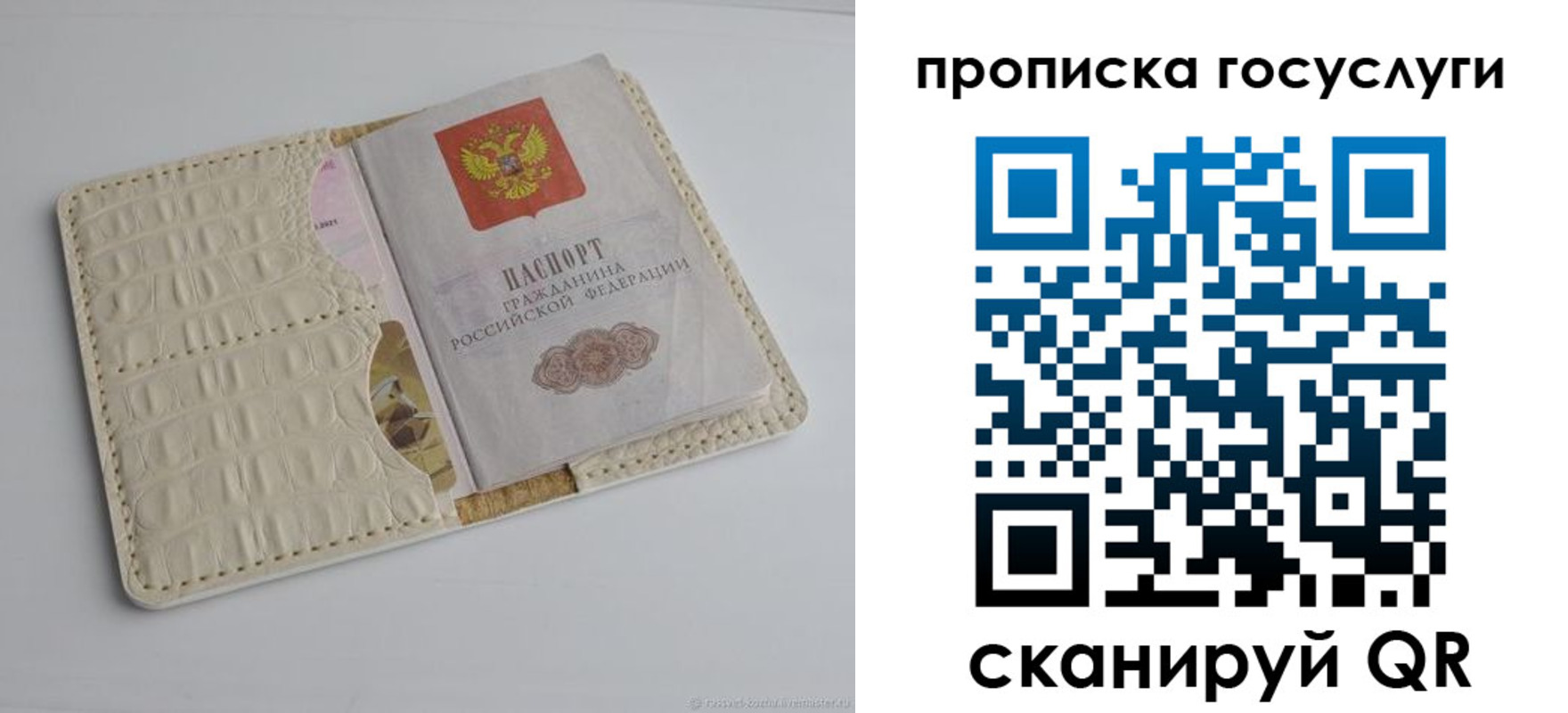 прописка в Жирновске